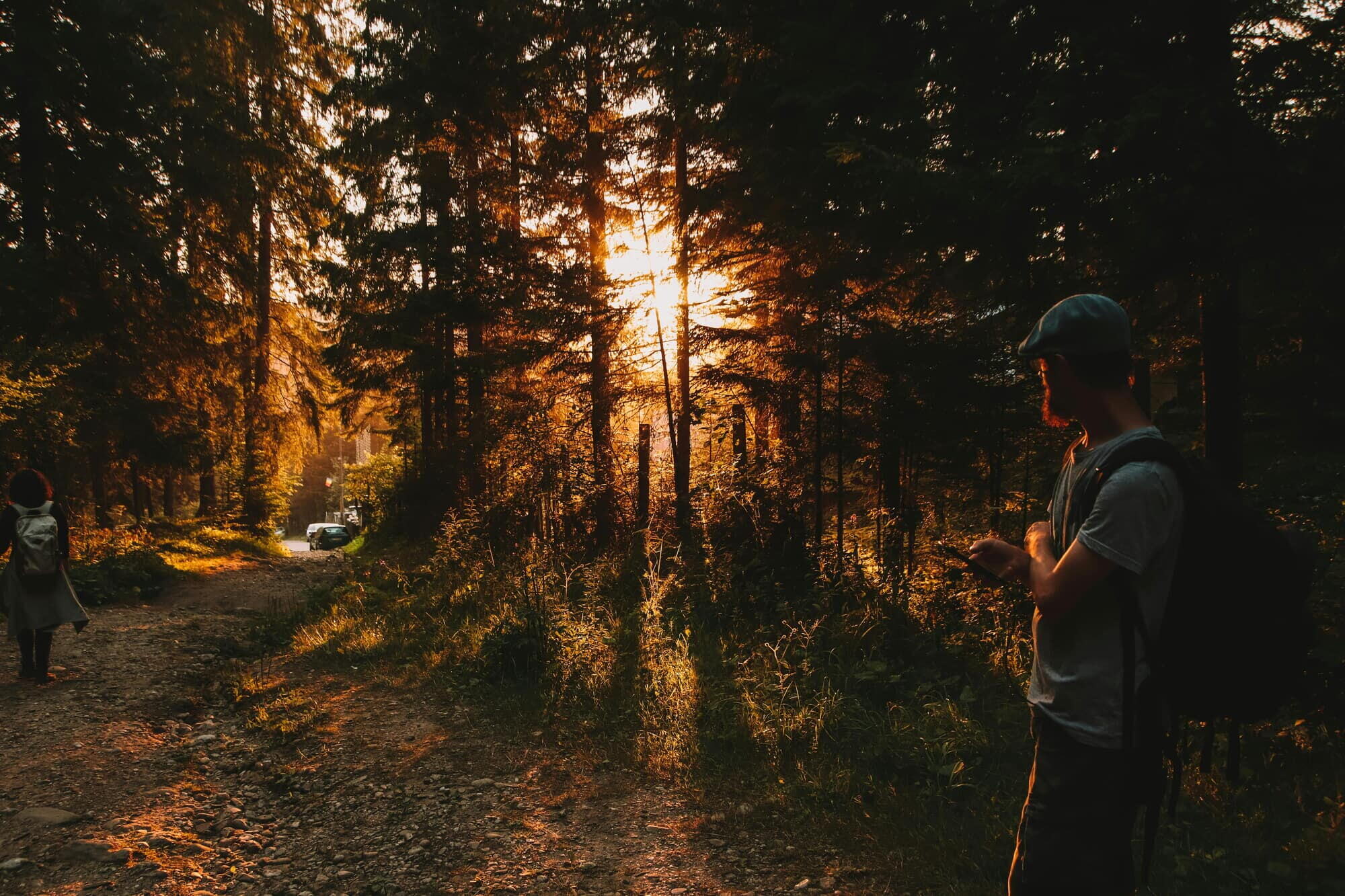 Person walking through a sunlit forest trail at golden hour in the Berkshires in spring