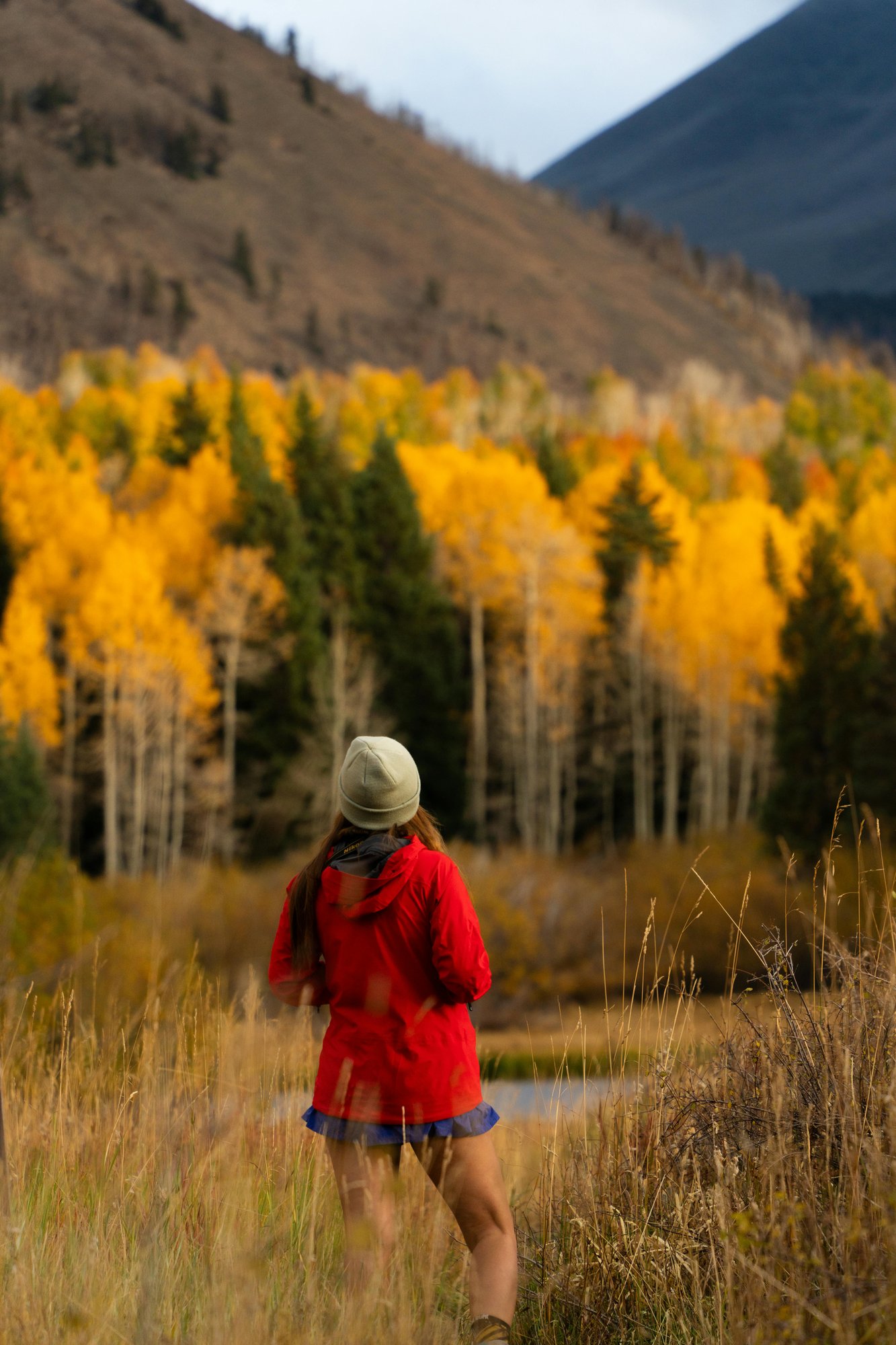 Pleasant Valley Wildlife Sanctuary