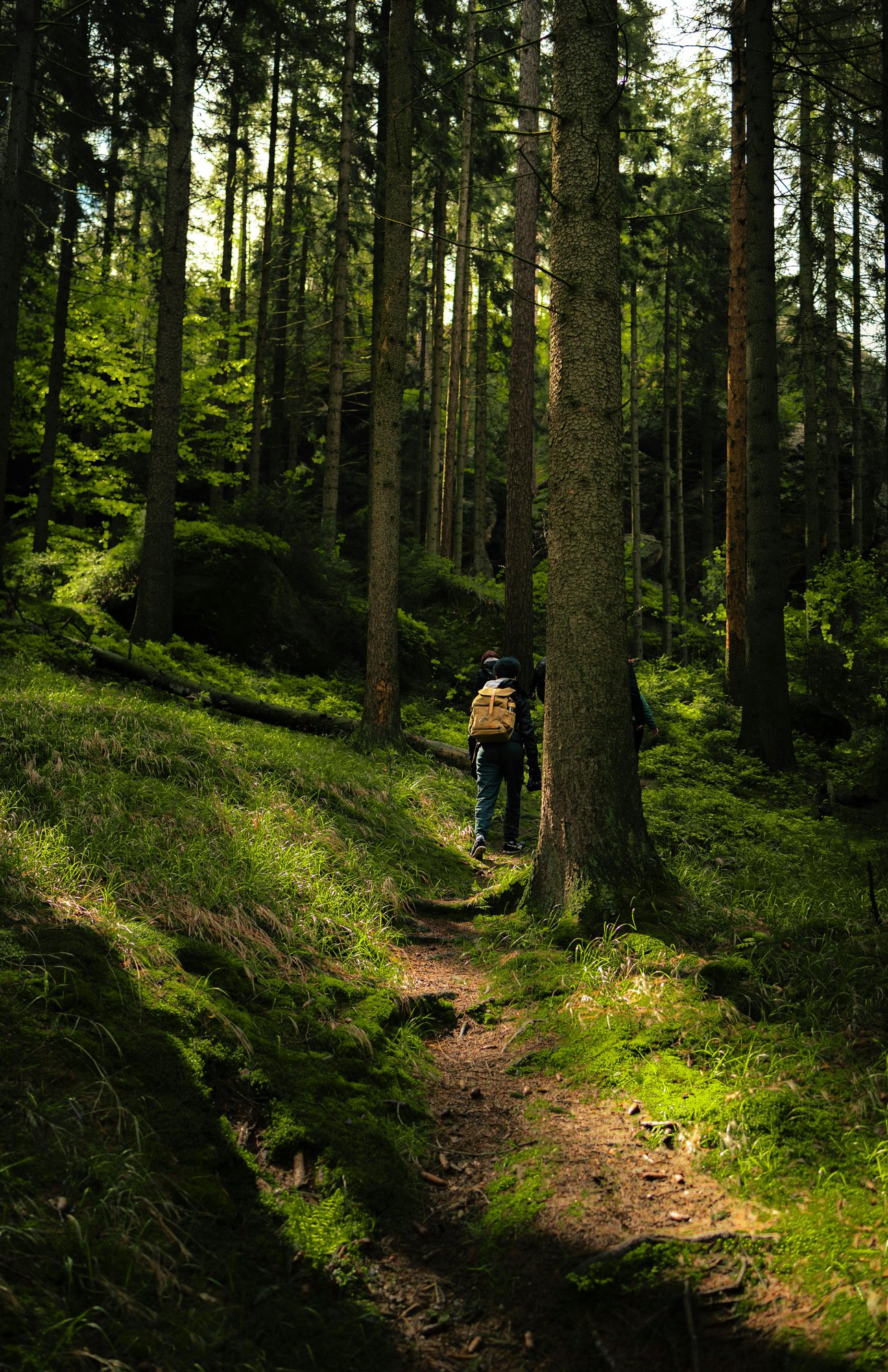 Person doing an incredible hike on the Berkshires
