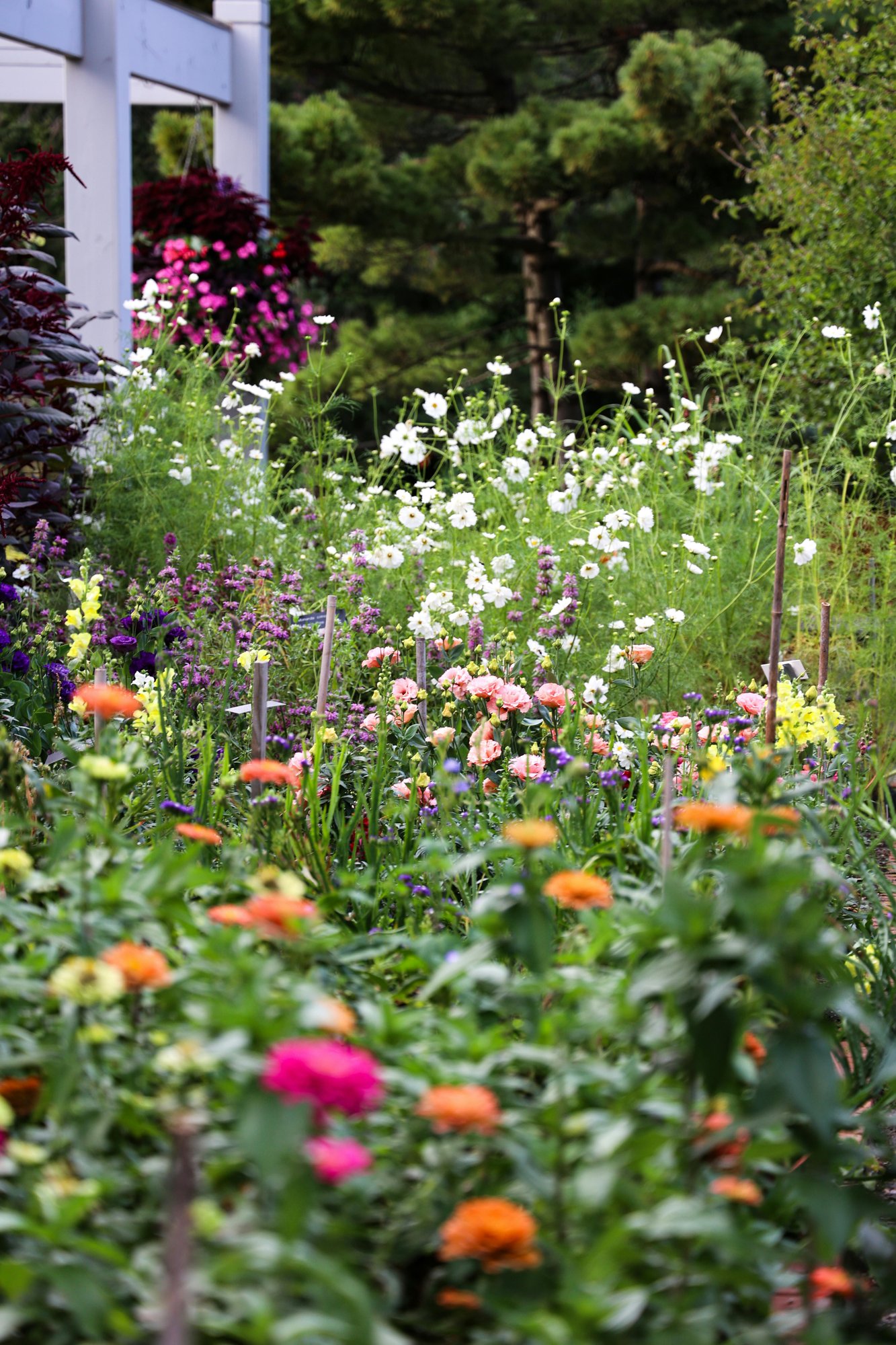 Berkshire Botanical Garden
