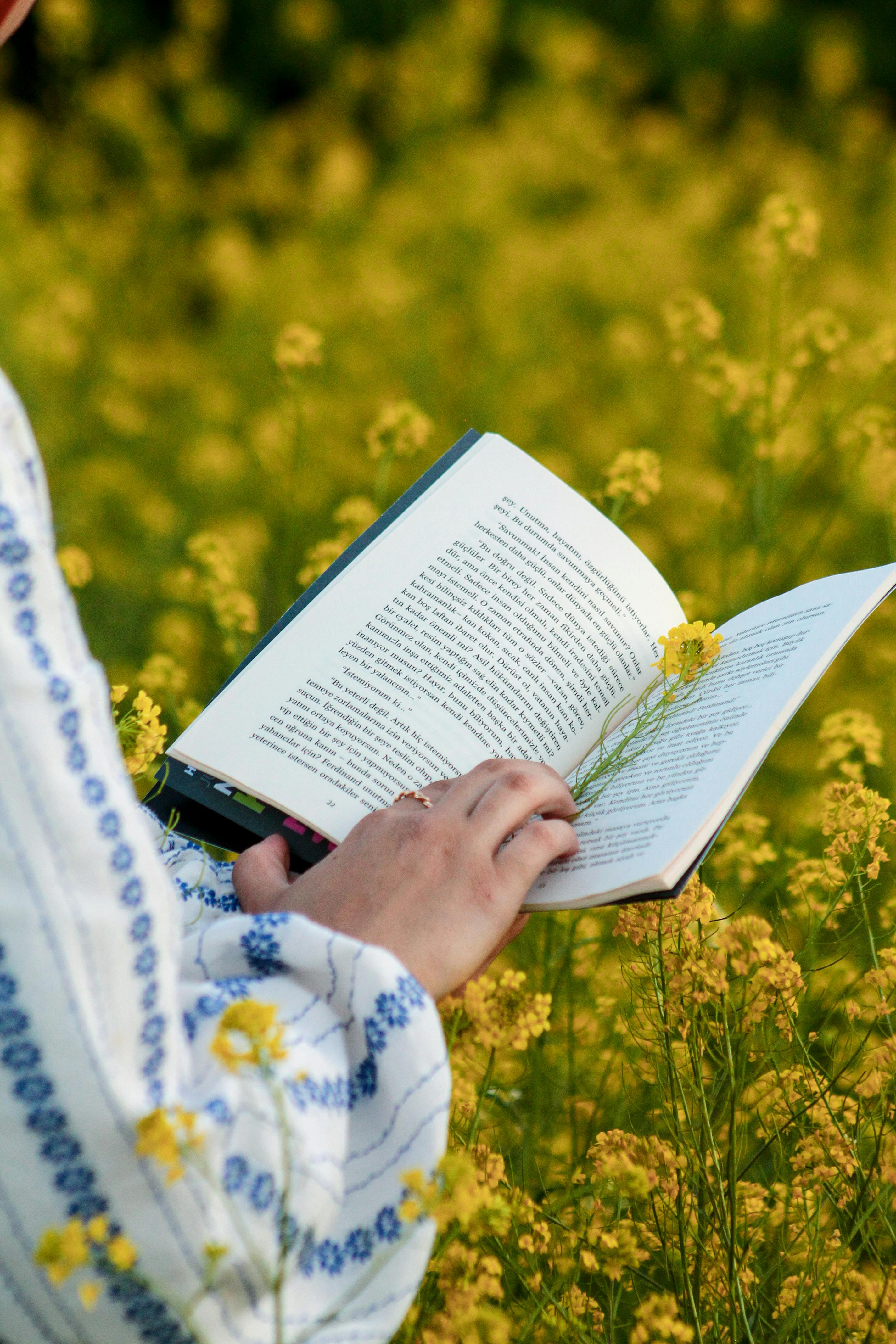 Lose Yourself in a Book in the Berkshires