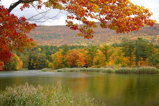 A lake surronded by fall foliage in the Berkshires.