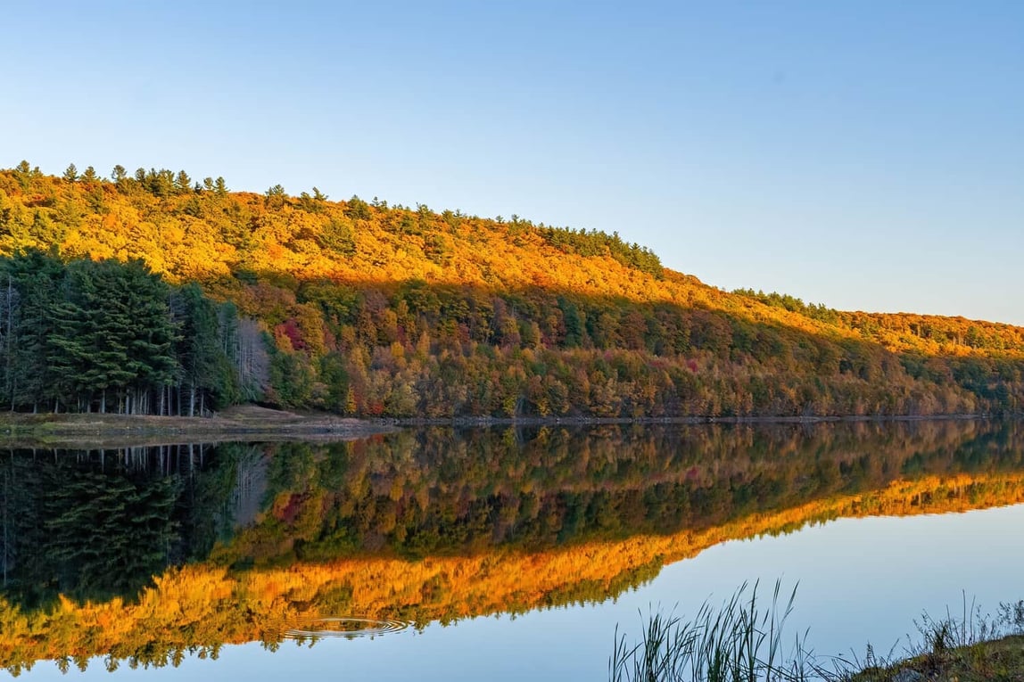 A fall foliage and it's reflection on the lake, in the Berkshires.