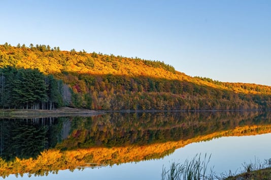 A fall foliage and it's reflection on the lake, in the Berkshires.